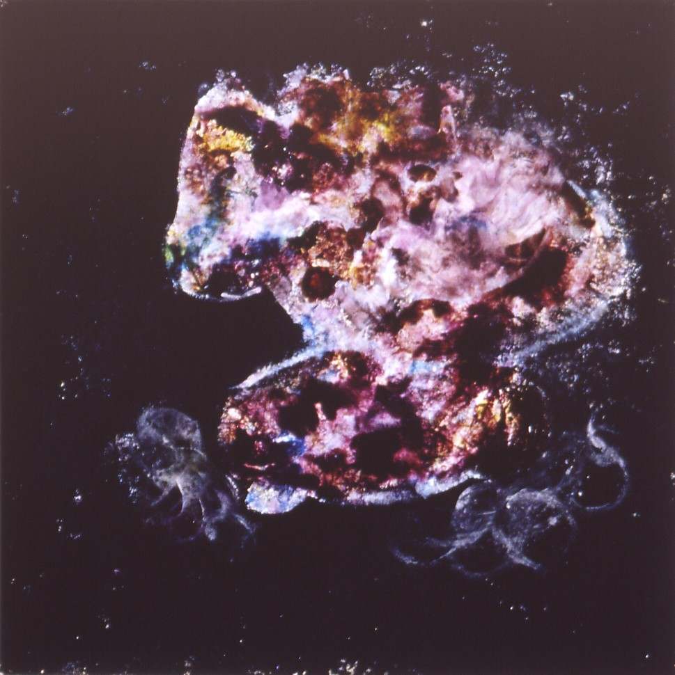Smoke by David Haig Alexander, Image 1.