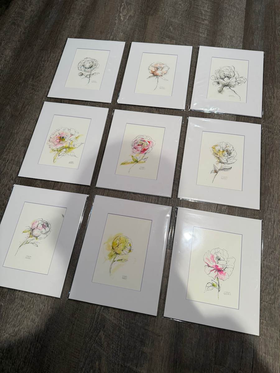 Inked Peonies (Matted) by sharon jiskra brooks, Image 1.