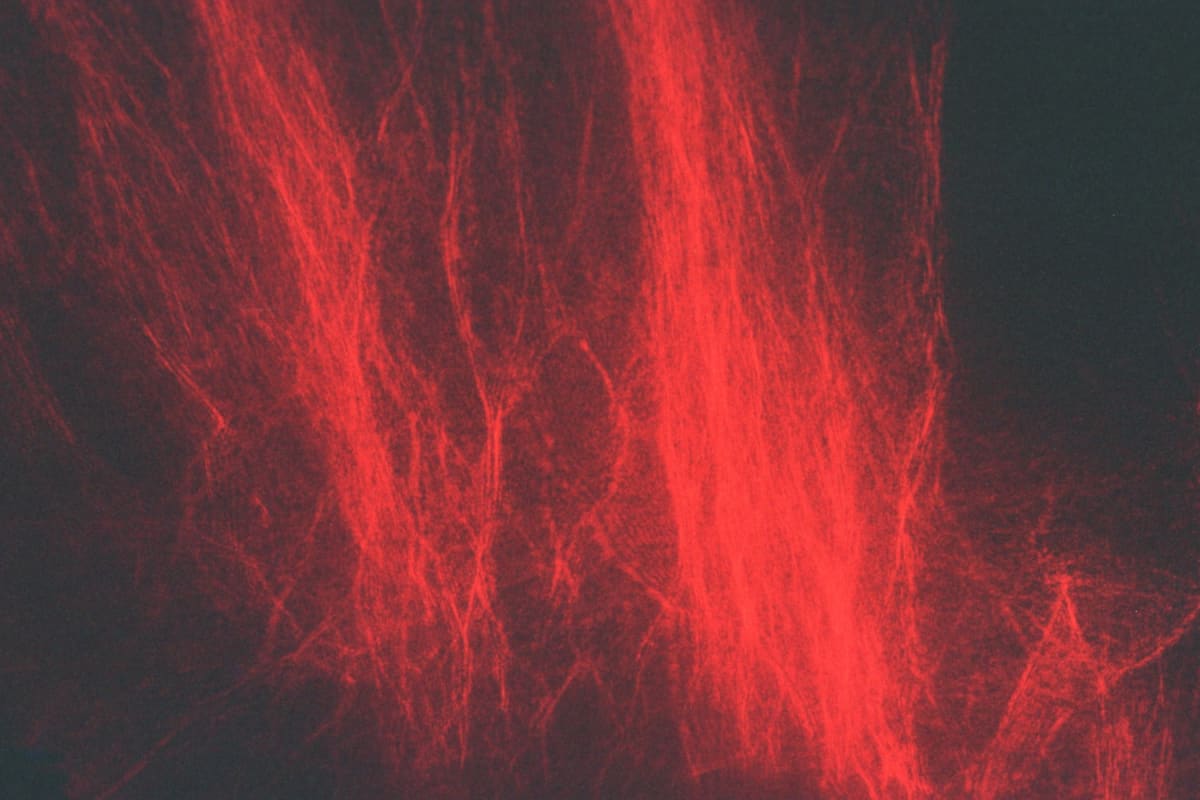 Red Series 3 (Storm), Image 4.