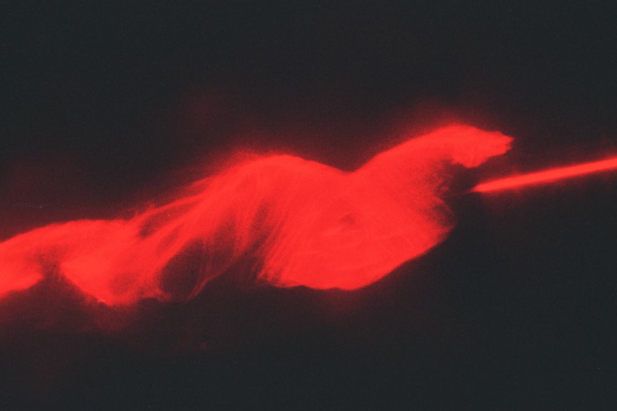Red Series 2 (Being), Image 8.