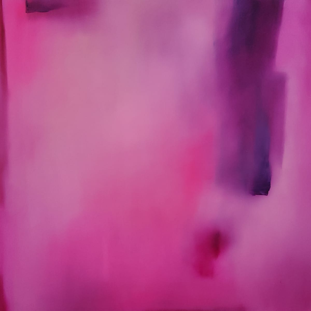 Live a Little by Wendy Franklin 