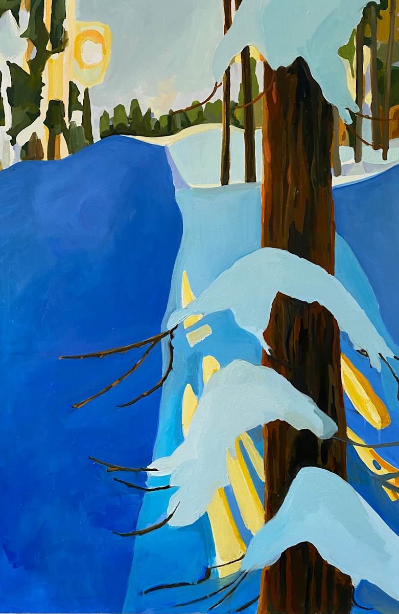 Nordic Series by Monica E Carroll 