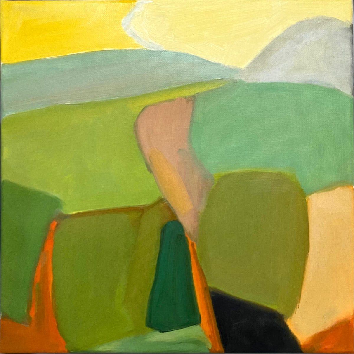 Ballinglen Fields 1 by Monica E Carroll 