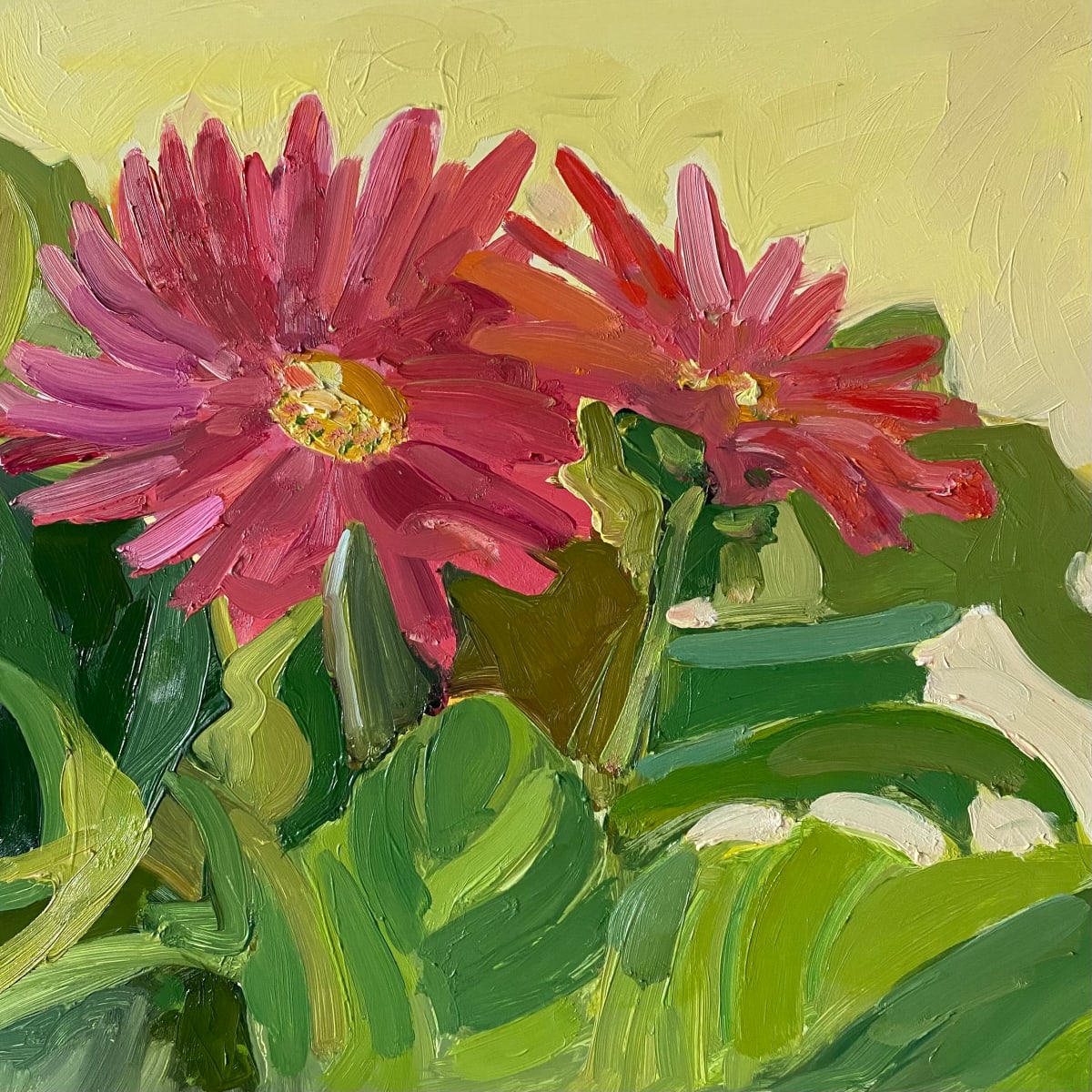 Gerber Pair by Monica E Carroll 