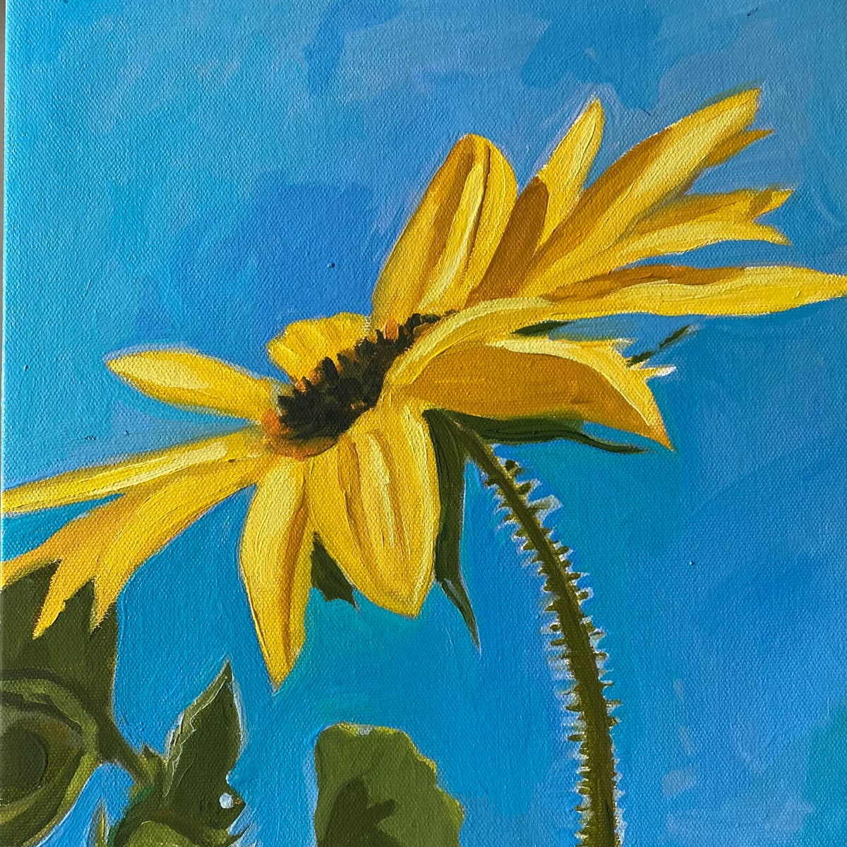 1. Sunflower 