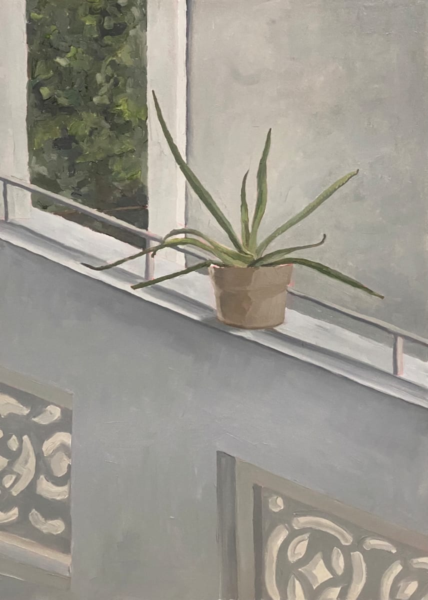 Rescued Aloe Vera by Jen Chau, Image 1.