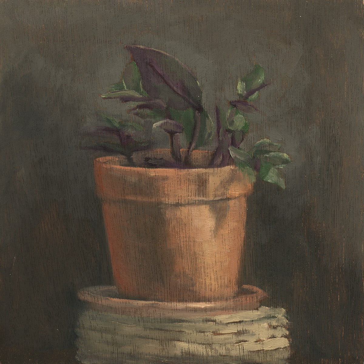 Serpil by Jen Chau, Image 1.