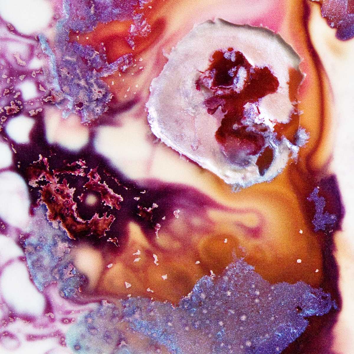 Unknown_II/49 by Jen Chau, Image 1.