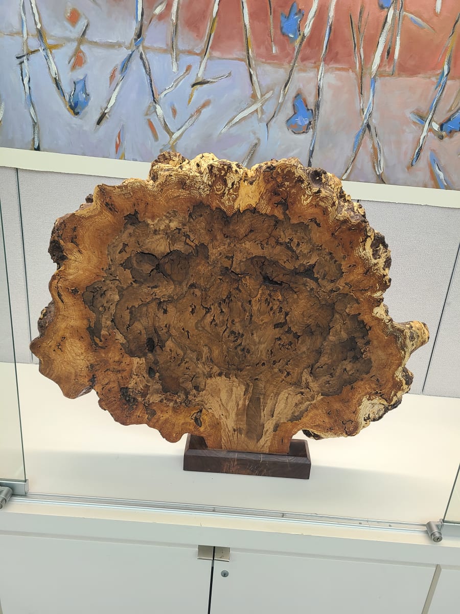 White Oak Burl #053 by Bill Neville 