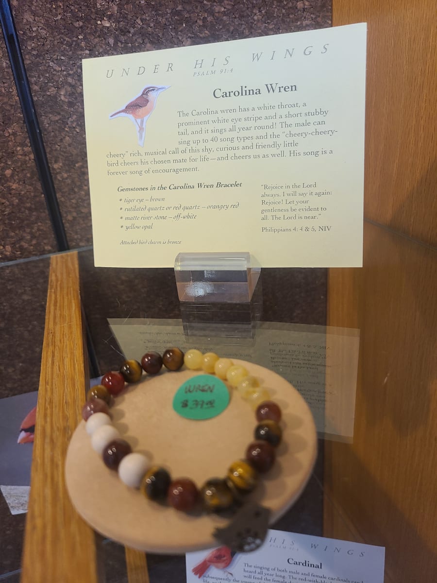 Carolina Wren by Beverly Iber 