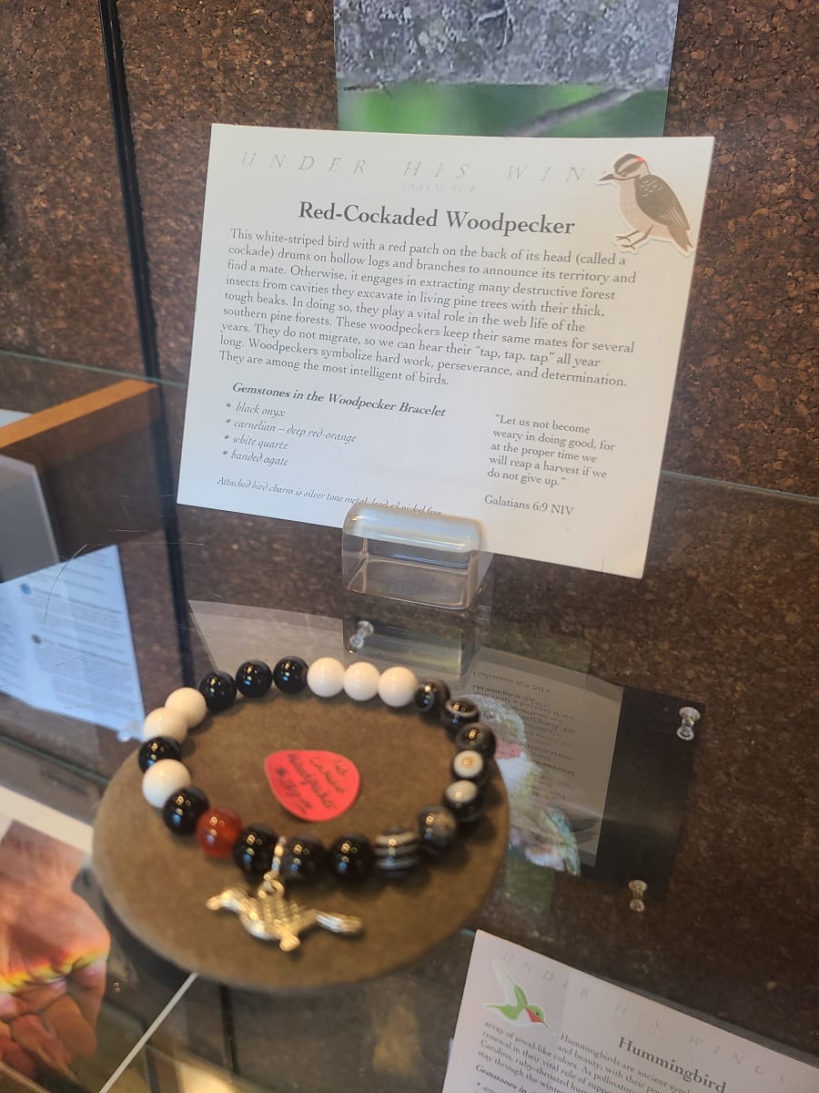 Red-Cockaded Woodpecker by Beverly Iber 