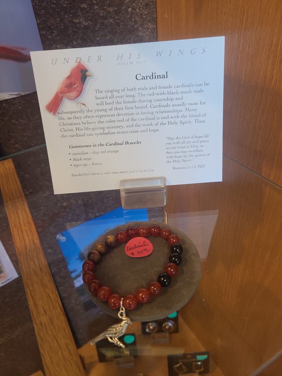 Cardinal by Beverly Iber 