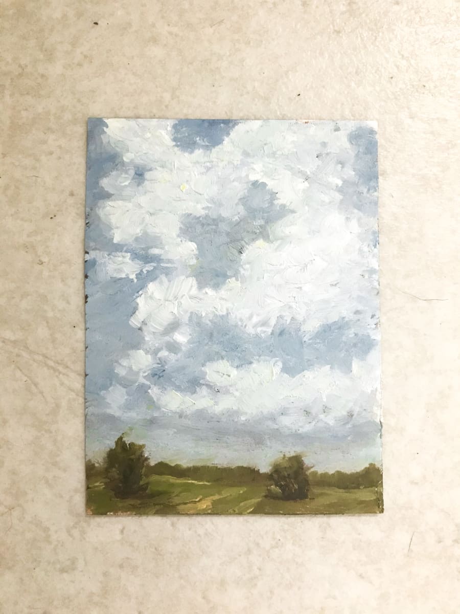 Big Sky Over the Old Field by Makenna Parker 