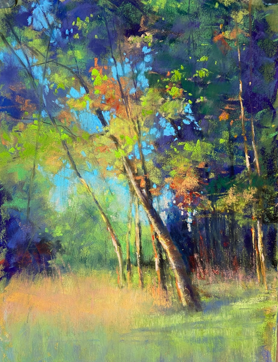 Summer Glade by Daphne Boder 