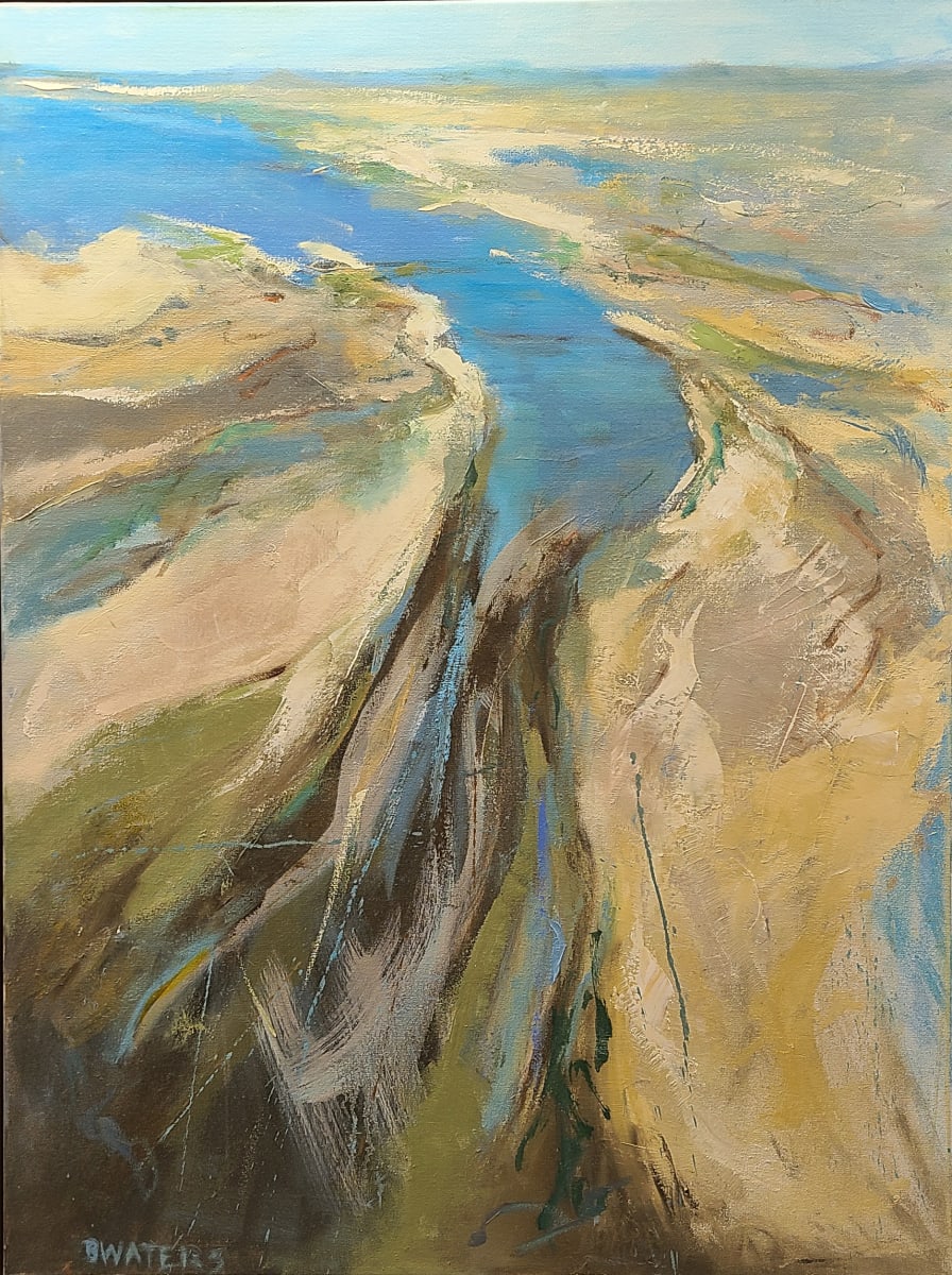 Aerial Estuaries II by Bennett Waters 