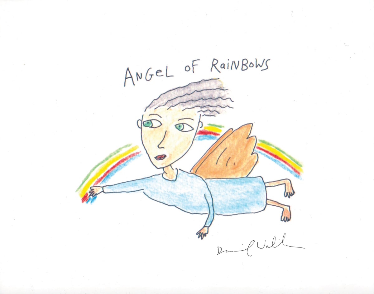 Angel of Rainbows by Daniel Wallace 
