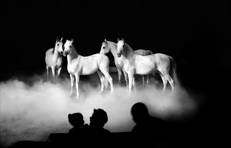 Big Apple Circus, NY by John Rosenthal 