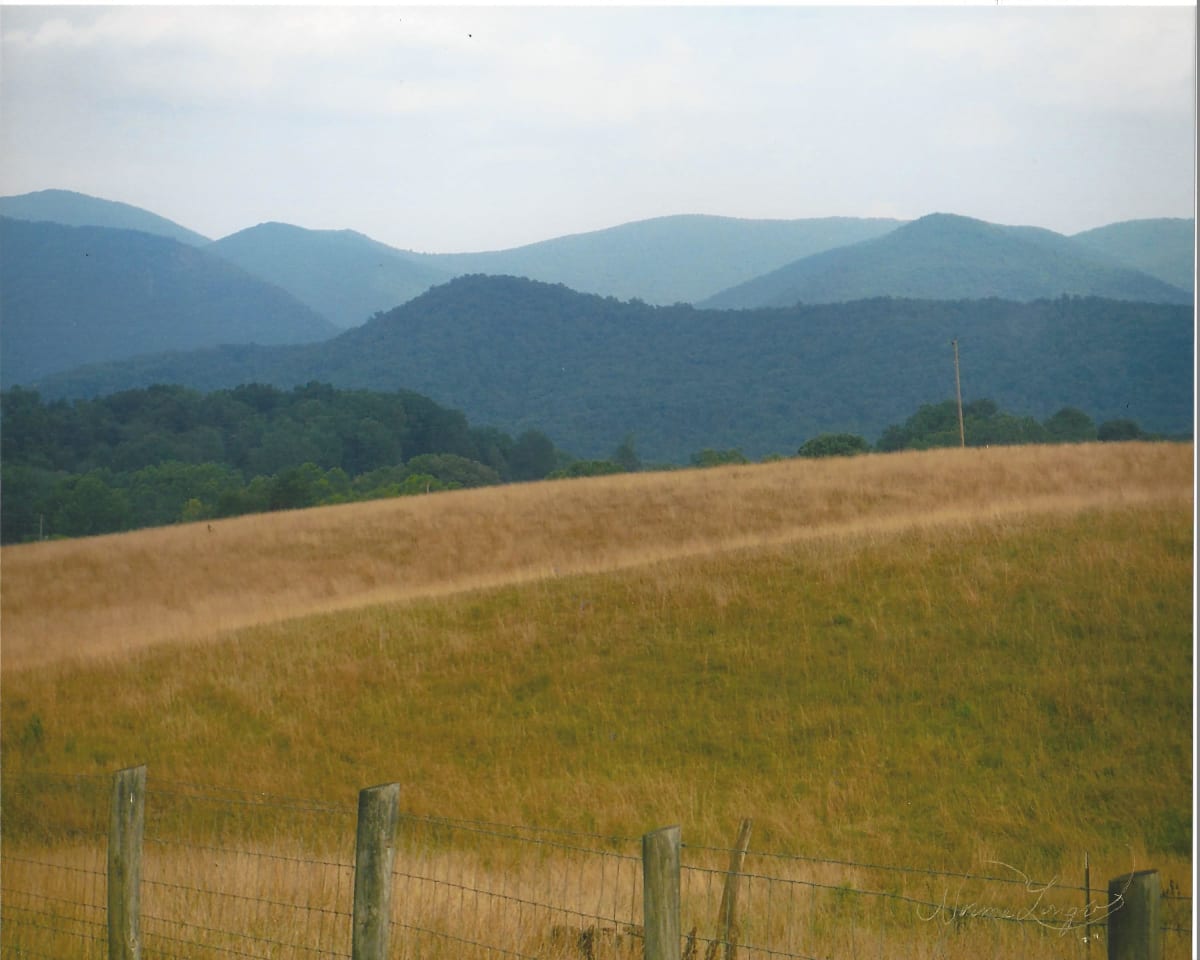 Blue Ridge Mountains by Norma Longo 