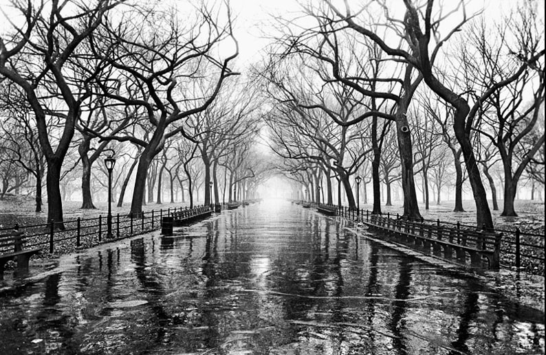 Central Park, NYC by John Rosenthal 