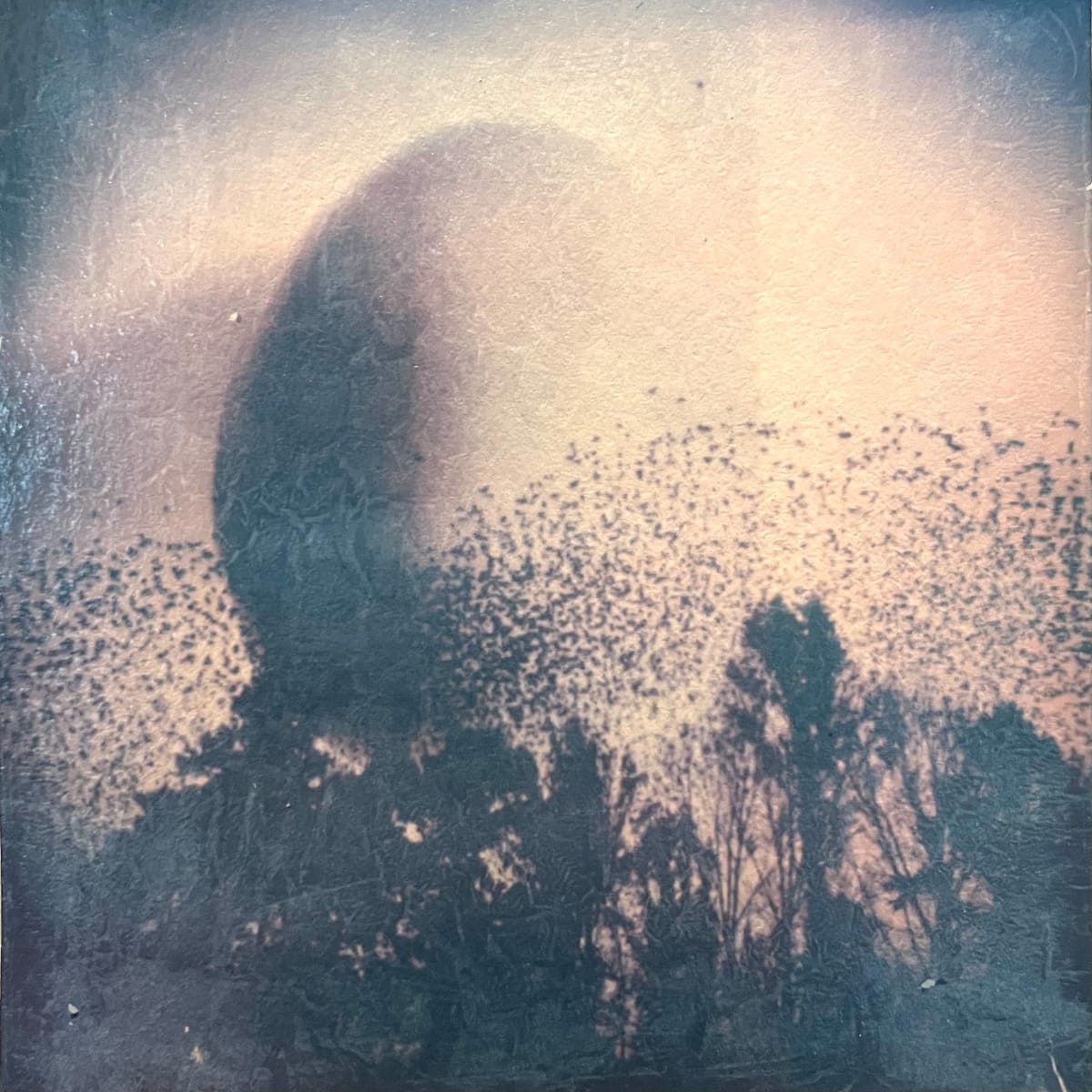 Cosmic Egg Series No 15 by Joann Galarza Vega 