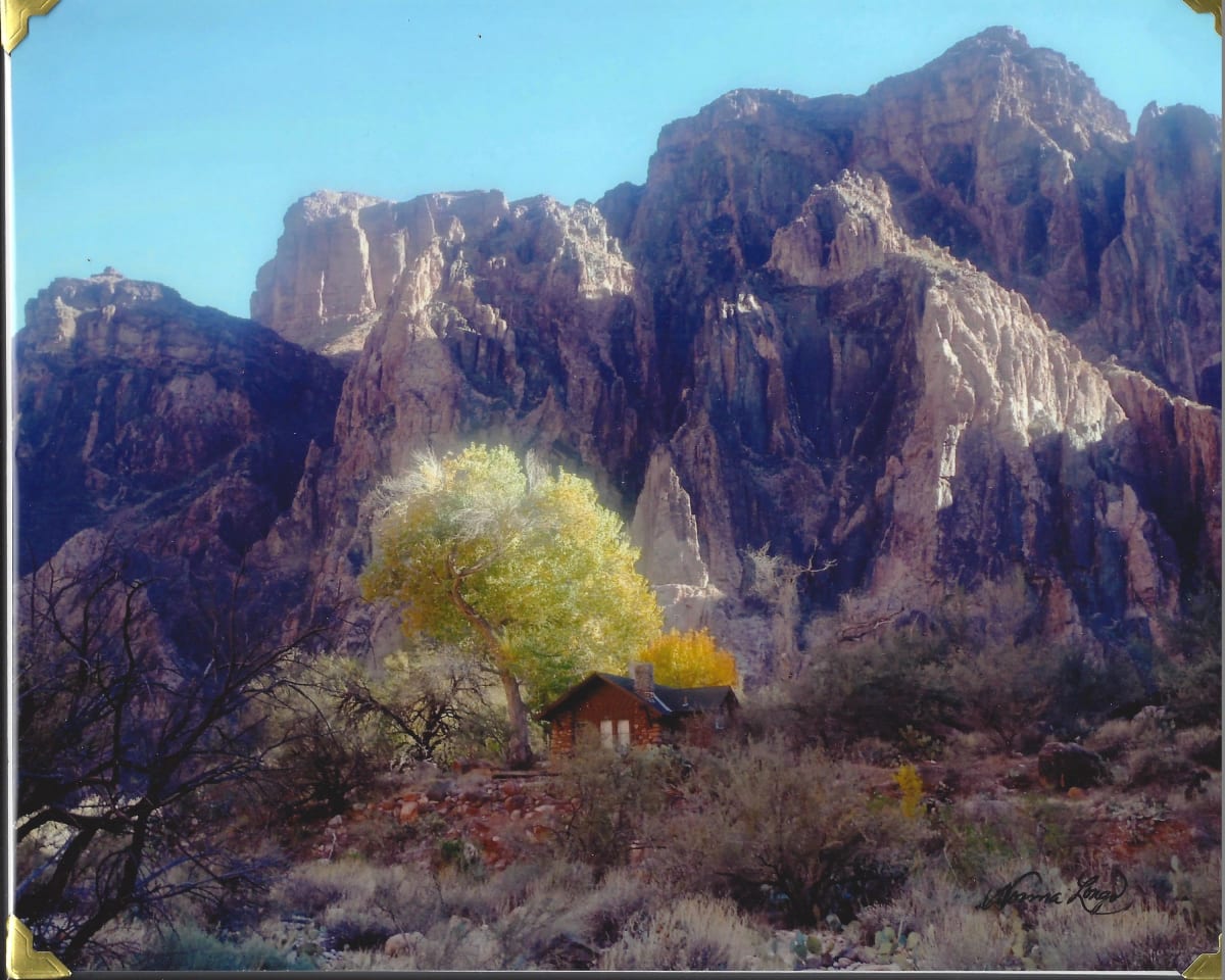 Cottonwood Aglow by Norma Longo 