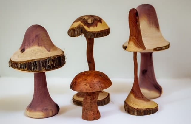 Wooden Pieces (1) by Chapel Hill Woodturners 