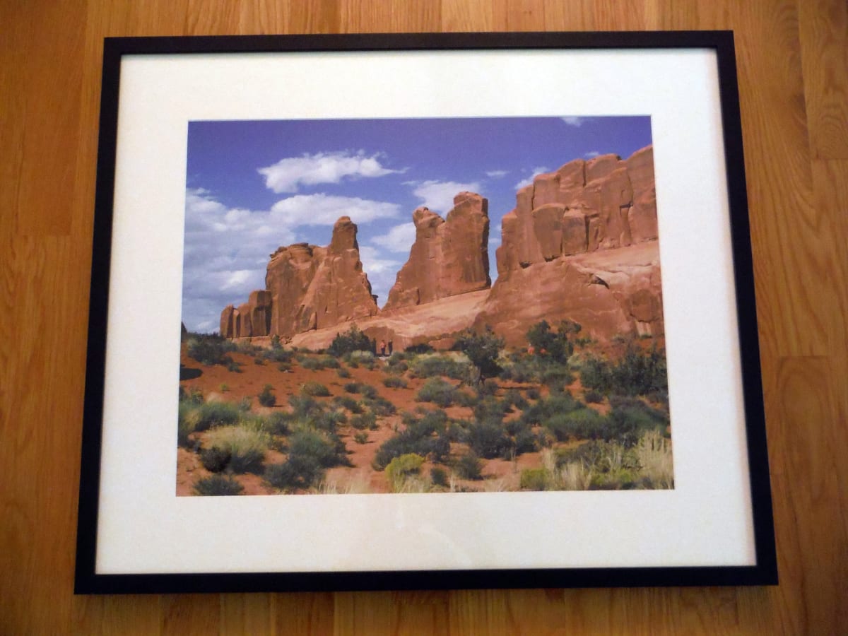 Fins of Park Avenue by Norma Longo 