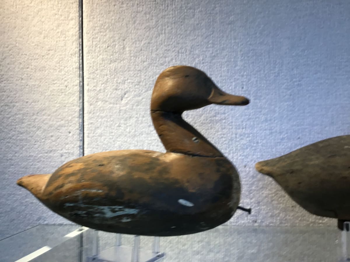 Art of the Decoy by Leland Little Auctions 