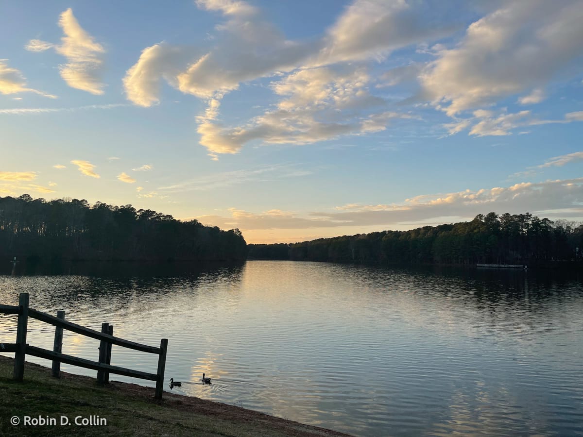 Lake Echo by Robin Collin 