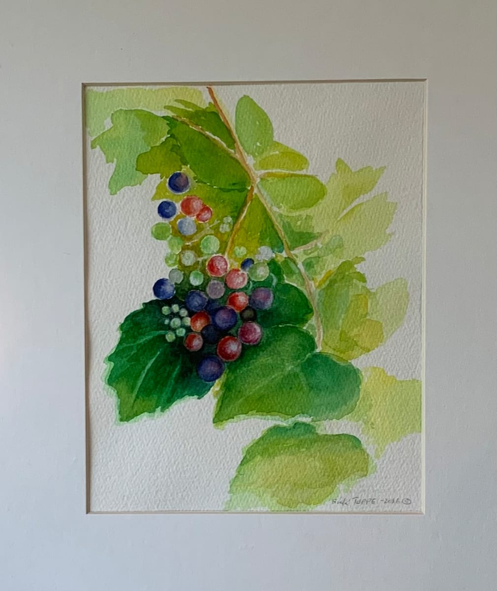 GRAPES by Rick Tupper 