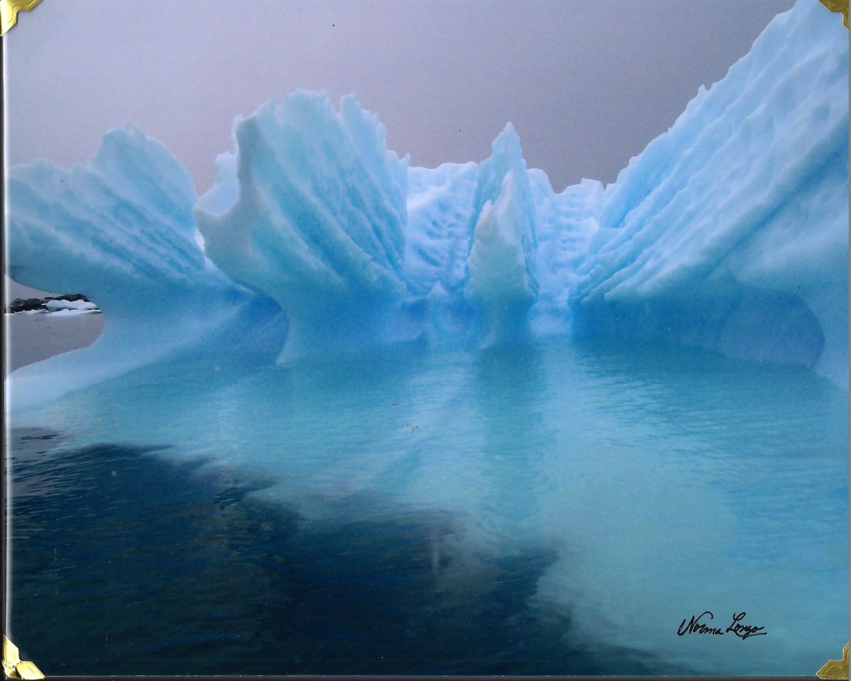 Iceberg "Splash" by Norma Longo 