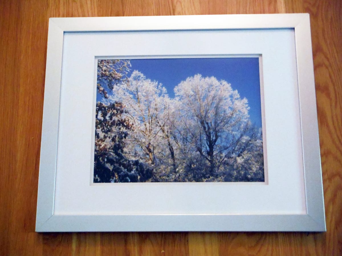 Icy Trees by Norma Longo 