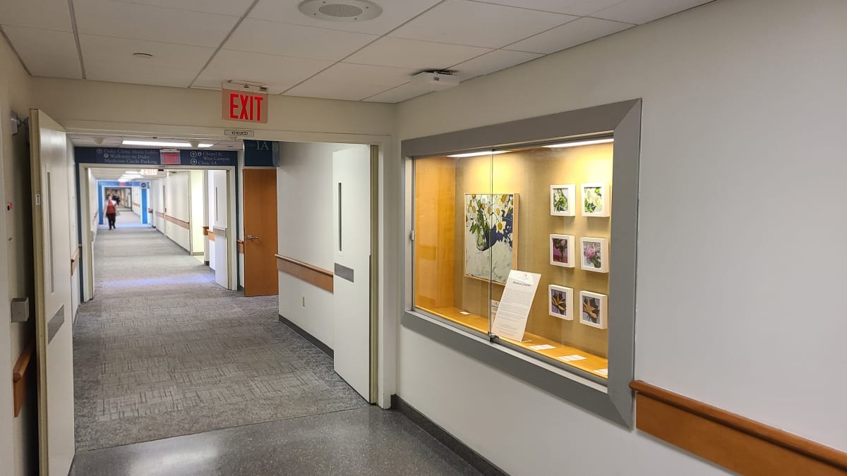 Clinic 1A Display Case  Image: Clinic 1A Display - Duke South Clinics Concourse