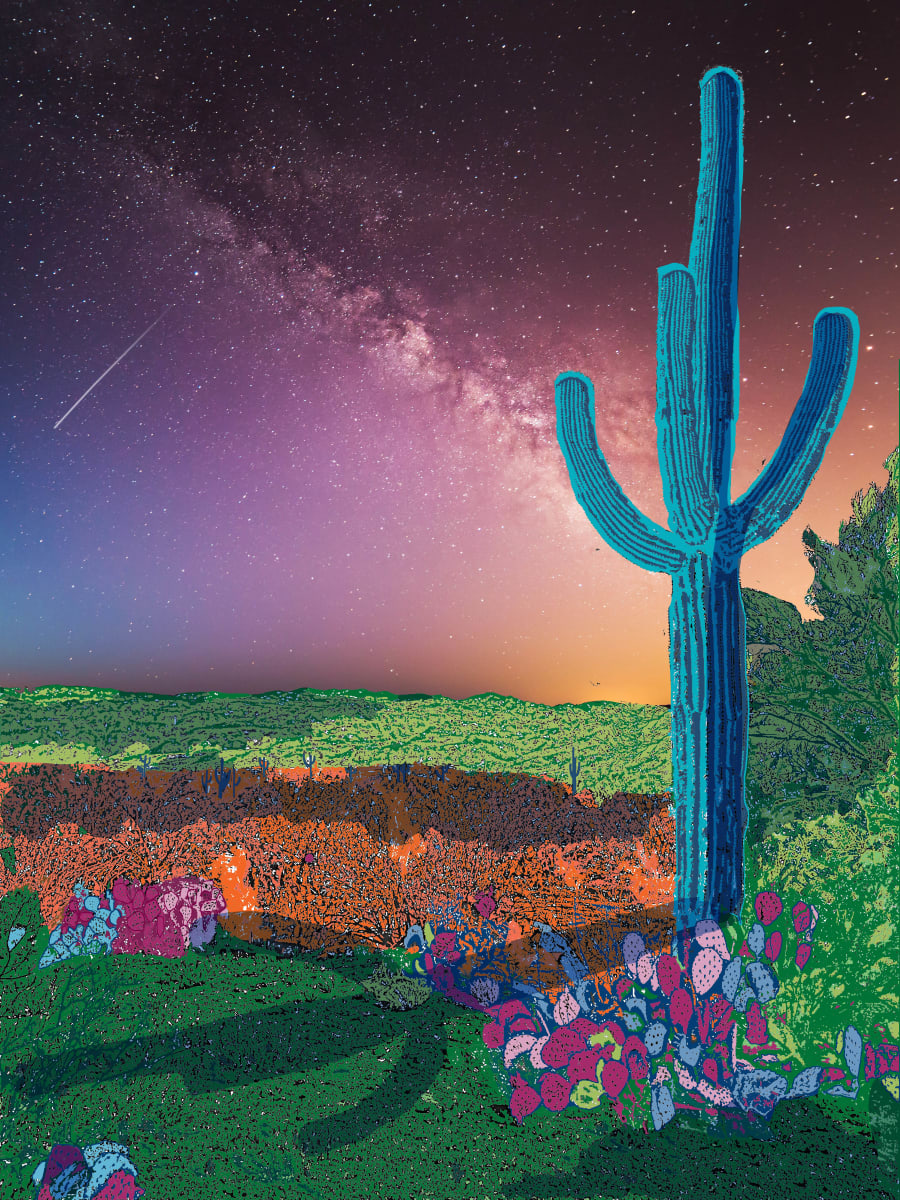 Mighty Blue Saguaro by Cat de Montjoye 