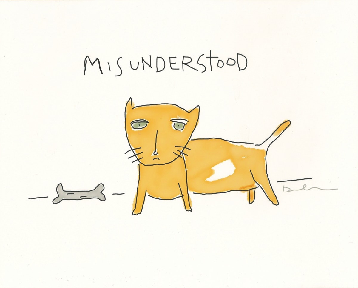 Misunderstood by Daniel Wallace 