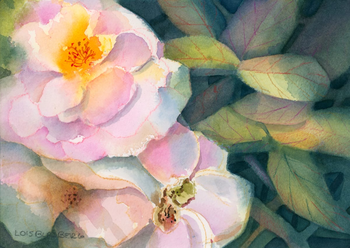 Rise by Lois Blasberg 