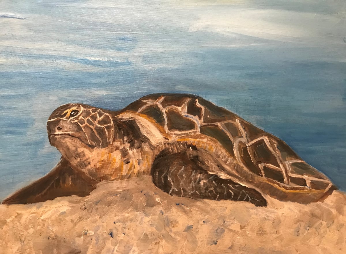 Sea Turtle by Leslie Kelly 
