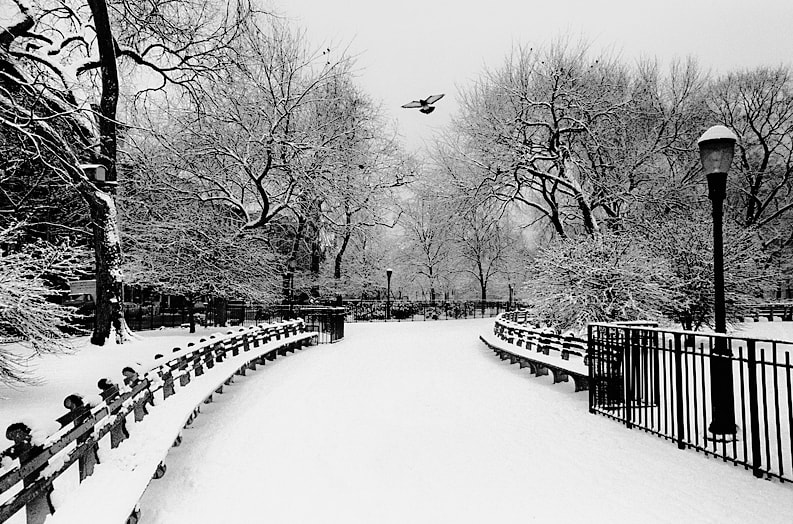 Tompkins Square, NYC by John Rosenthal 