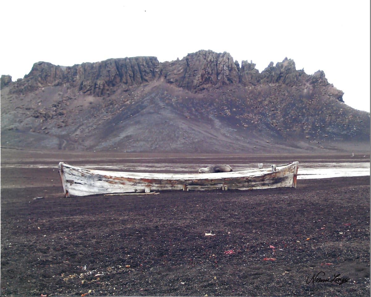 Whaling Boat with Seal by Norma Longo 