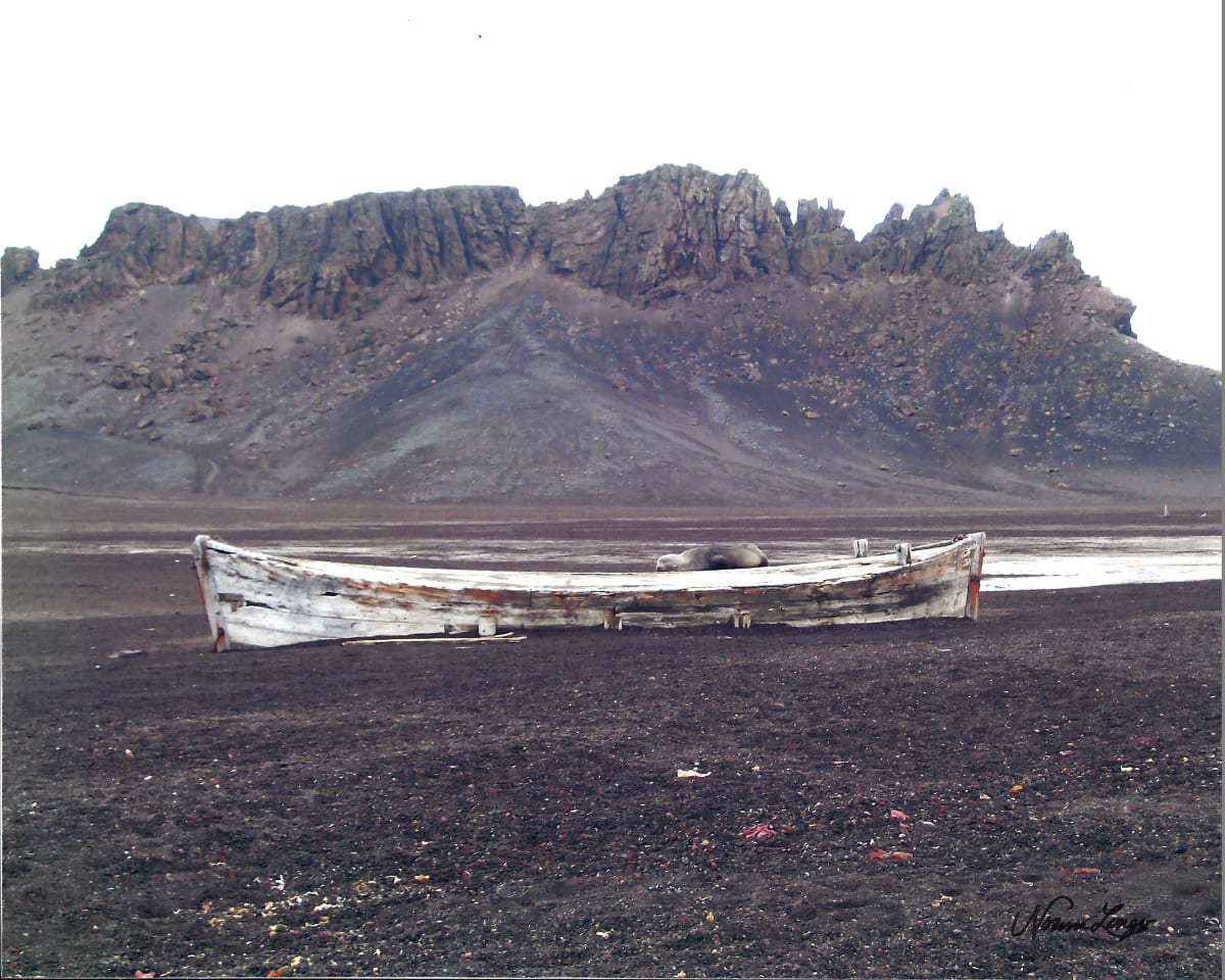 Whaling Boat with Seal by Norma Longo 