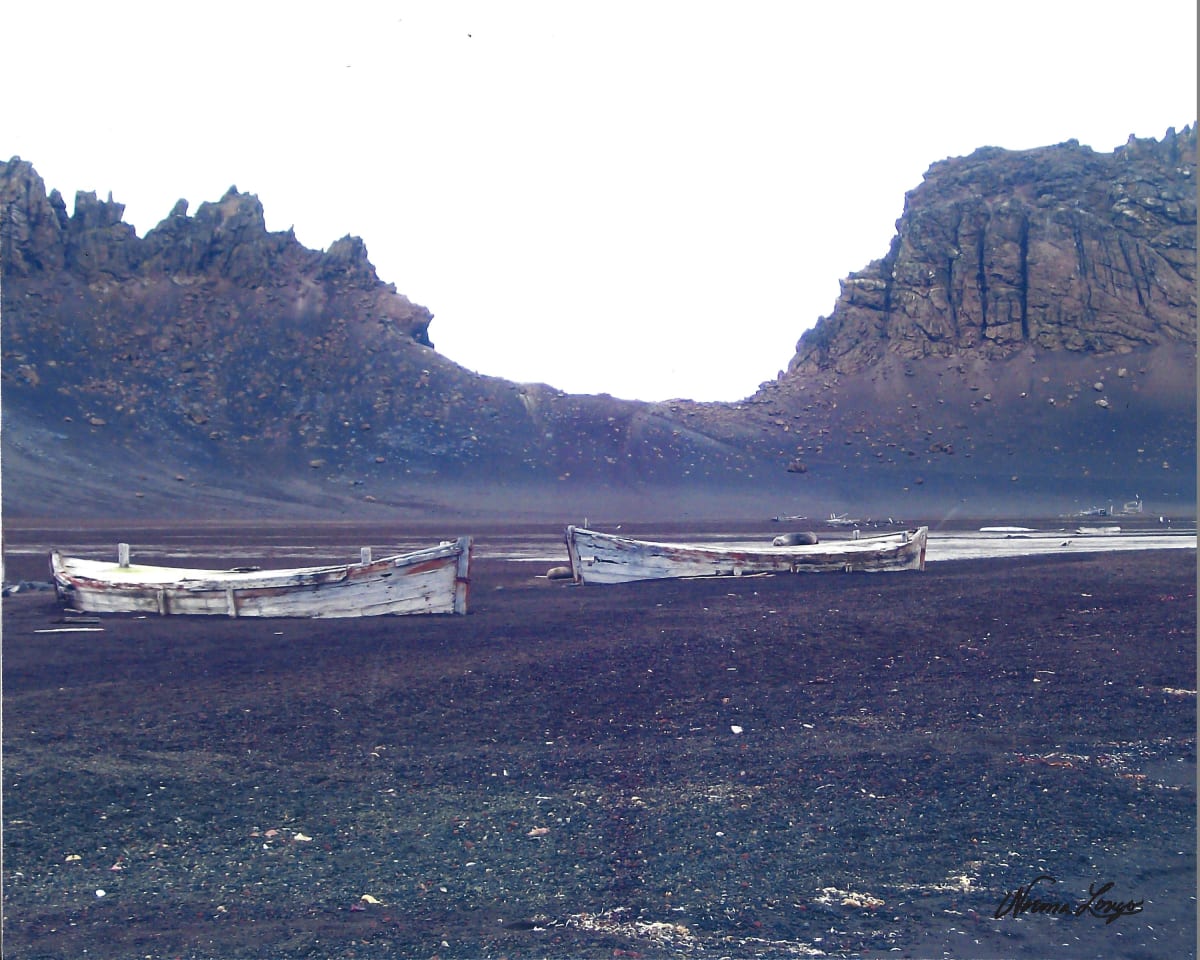 Whaling Boats and Seals by Norma Longo 