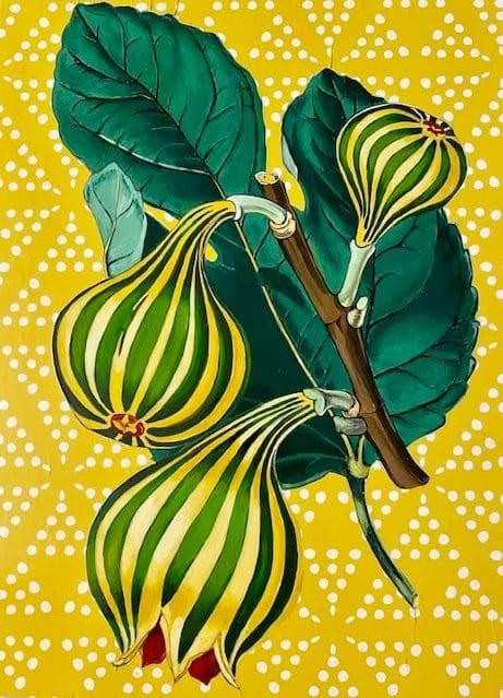 Yellow Striped Figs by Jennifer Clifton 
