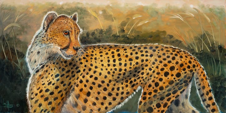 In the High Grass by Lee Mims 