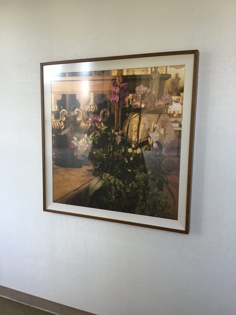 Shop Window by Elizabeth Matheson 