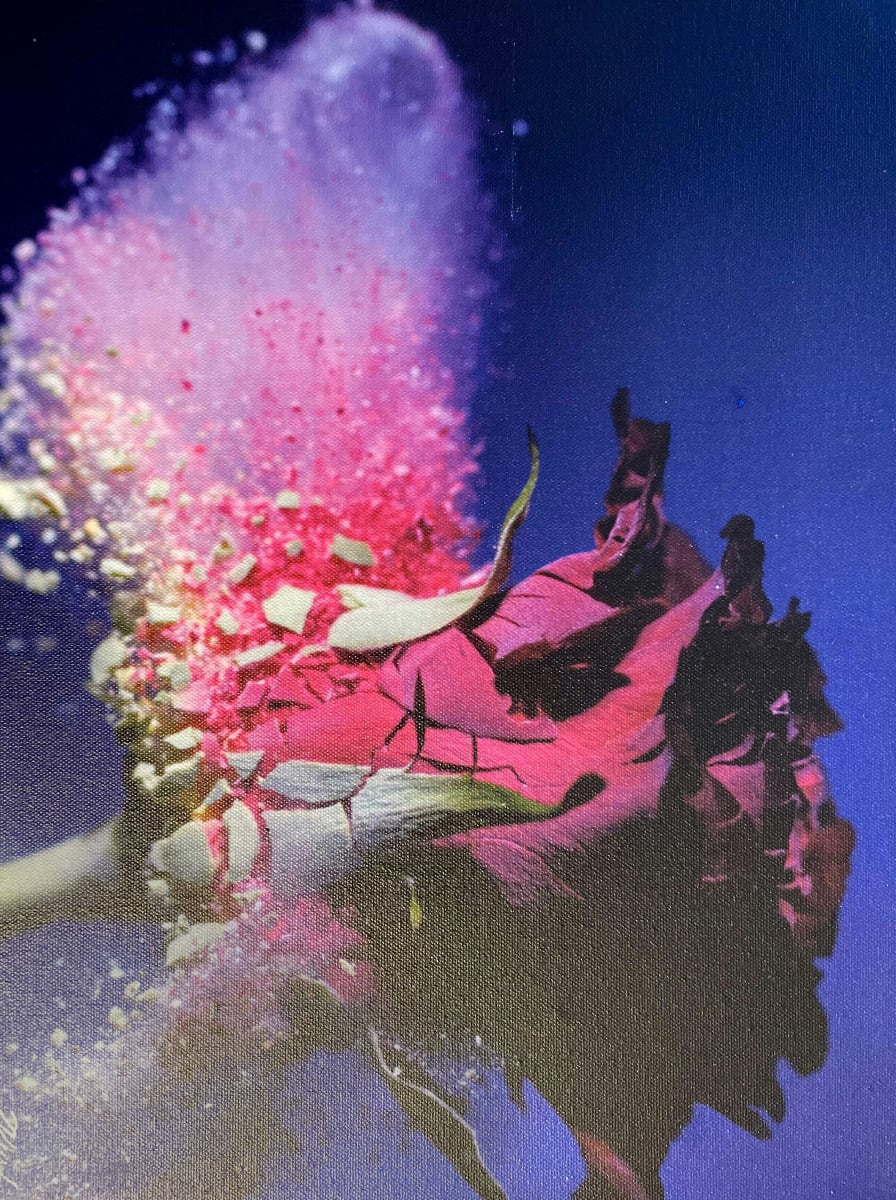 Bullet with Rose Petal Wings (Original) by Nima Veiseh 