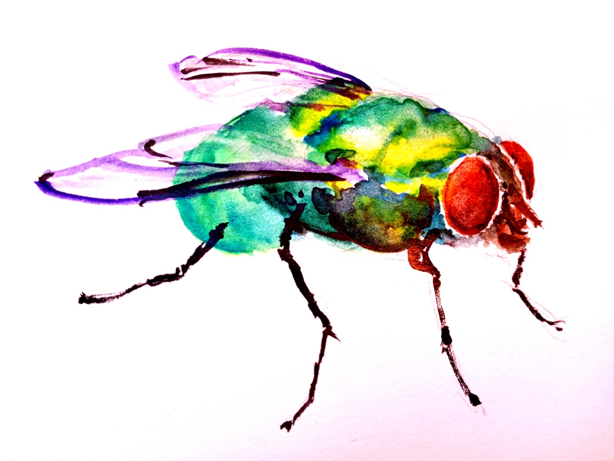 CAA Drawing-a-Day Challenge - Something that Flies, Image 1.