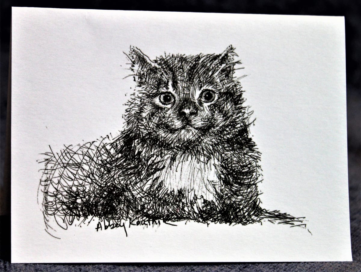 Cat, Image 1.