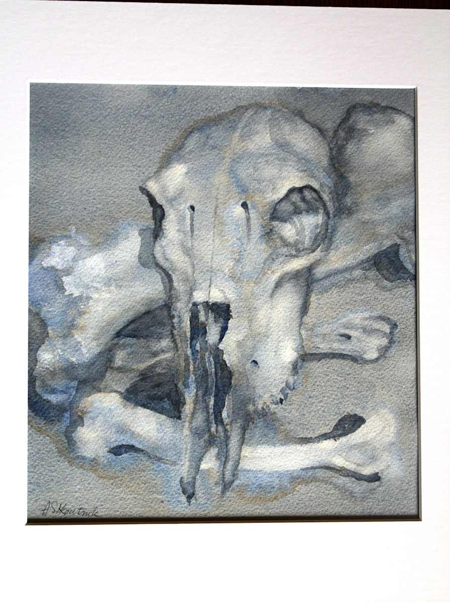 Skull, Image 1.
