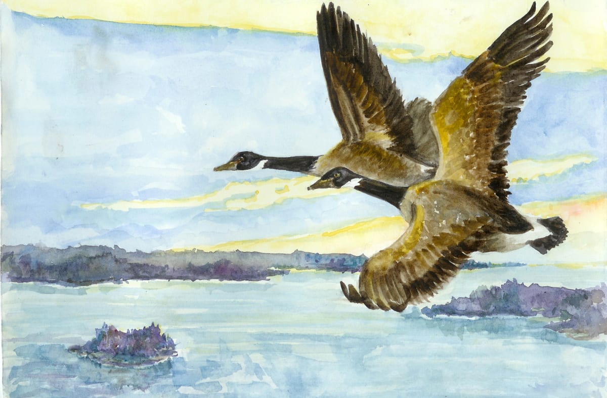 Geese, Image 1.