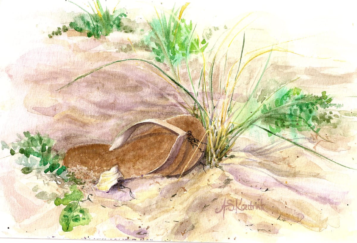 Flip Flop, Image 1.